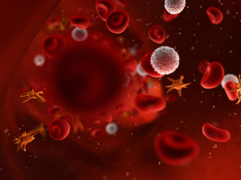 Blood typically contains 6% platelets whereas PRP has a significantly increased supra-physiological platelet concentration.